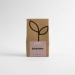 Ďatelinka- Bio semienka na naklíčenie 50g