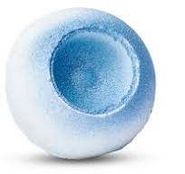 Bomba do kúpeľa Menthol sinus 130g Bloombee